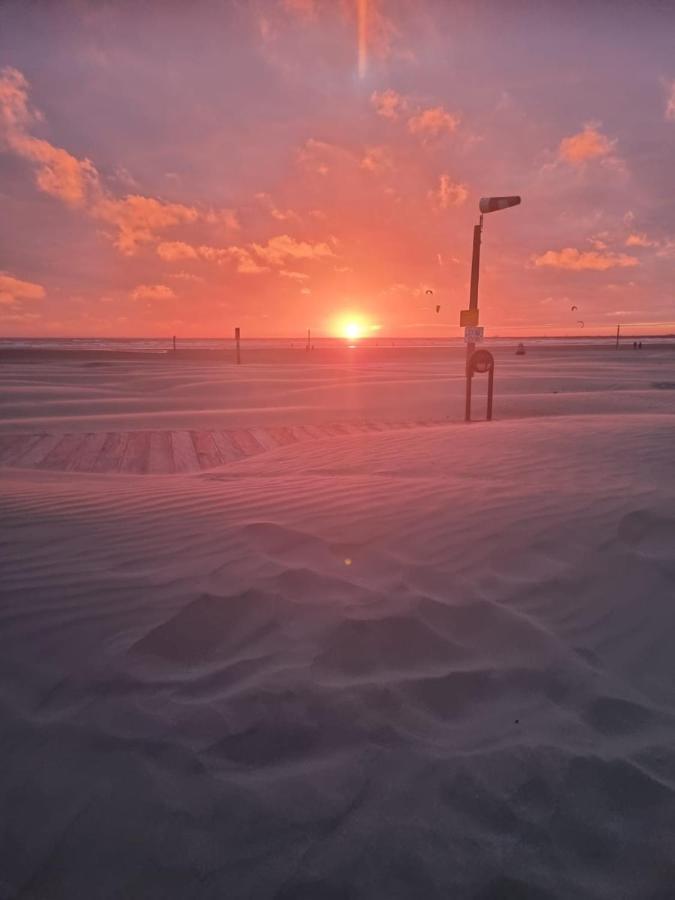 הוילה Chalet Formentera In De Duinen Van Ijmuiden Aan Zee מראה חיצוני תמונה